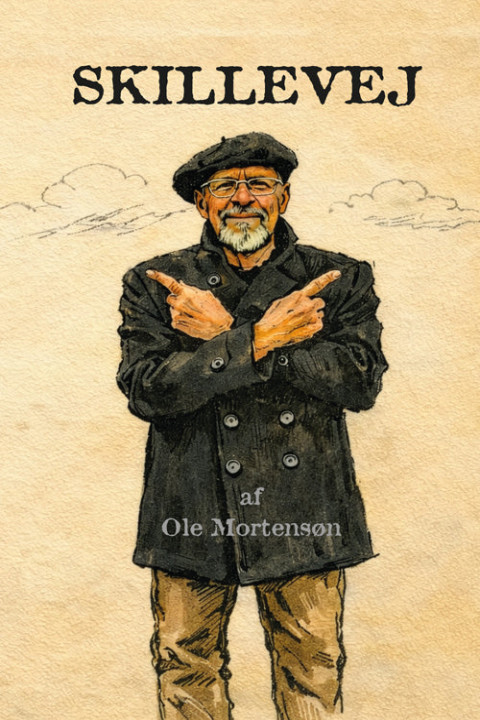 Omslag: Skillevej
