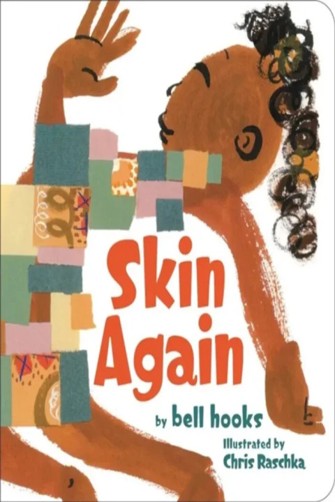 Omslag: Skin Again