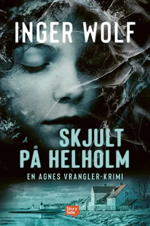 Omslag: Skjult på Helholm