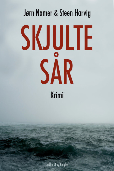 Omslag: Skjulte sår
