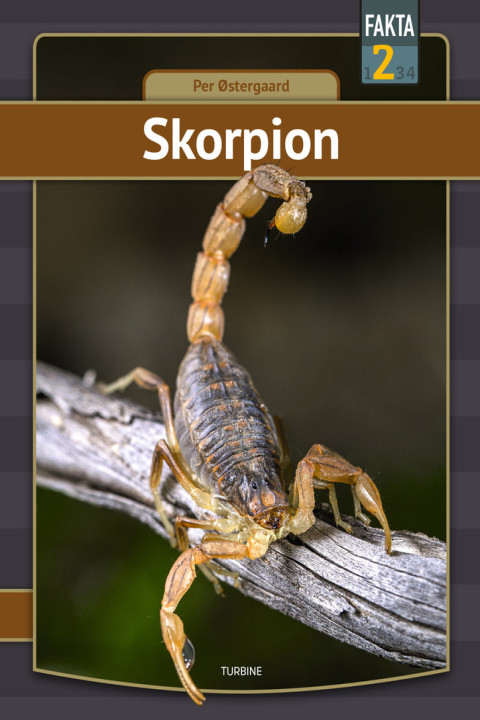 Omslag: Skorpion