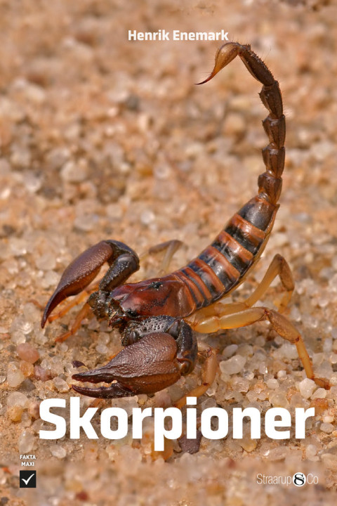 Omslag: Skorpioner