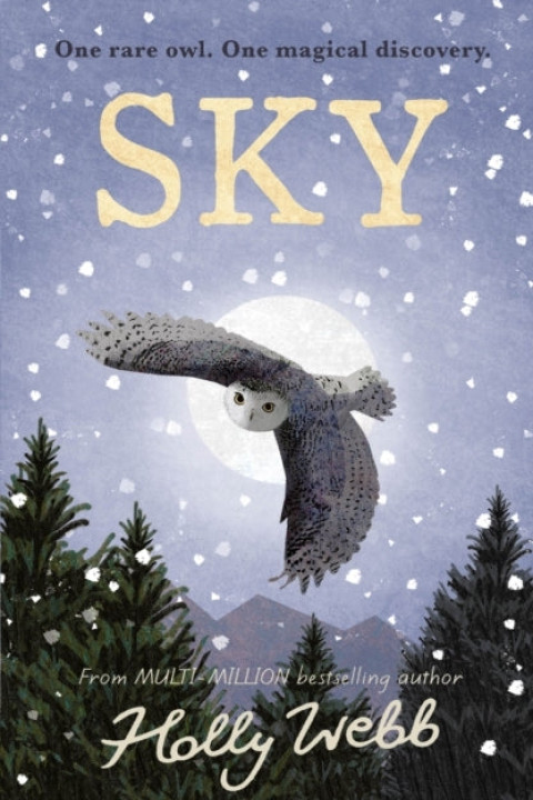 Omslag: Sky