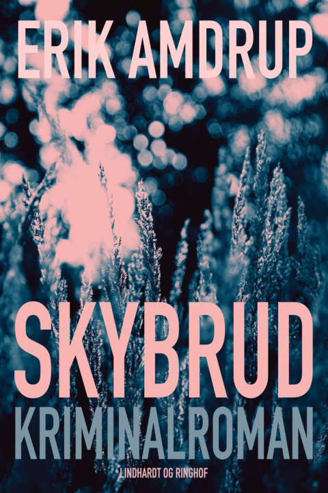 Omslag: Skybrud