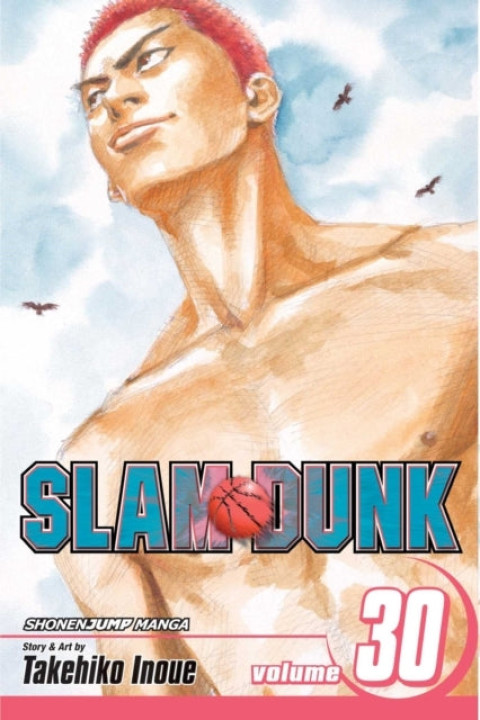 Omslag: Slam Dunk, Vol. 30