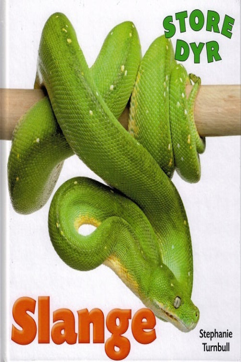 Omslag: Slange