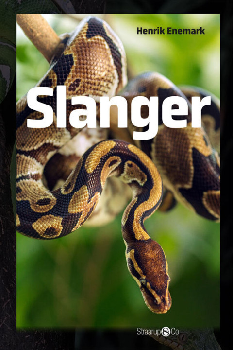 Omslag: Slanger