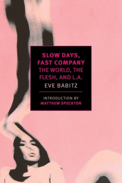 Omslag: Slow Days Fast Company