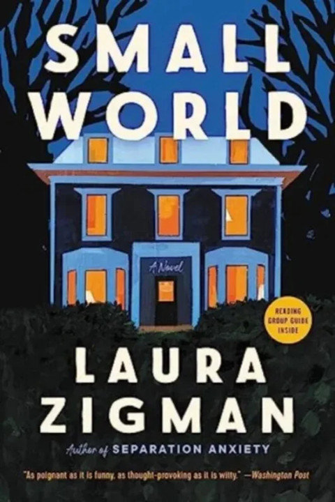 Omslag: Small World - A Novel