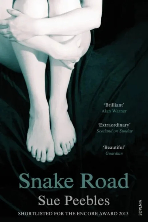 Omslag: Snake Road