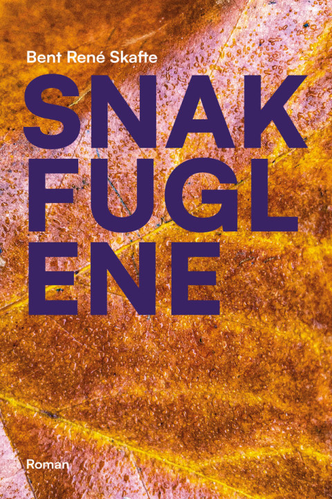 Omslag: Snakfuglene