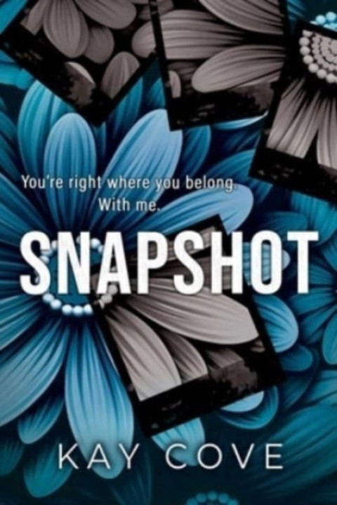 Omslag: Snapshot