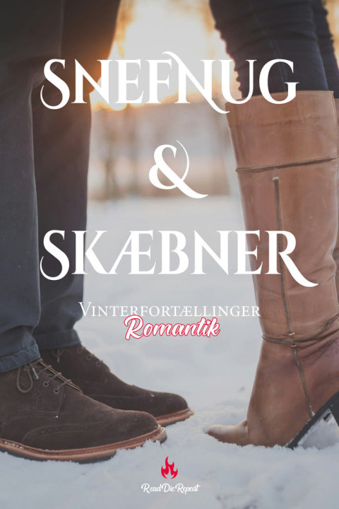 Omslag: Snefnug og skæbner
