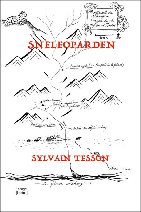 Omslag: Sneleoparden