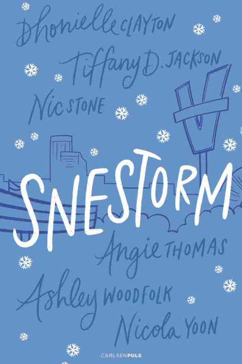 Omslag: Snestorm