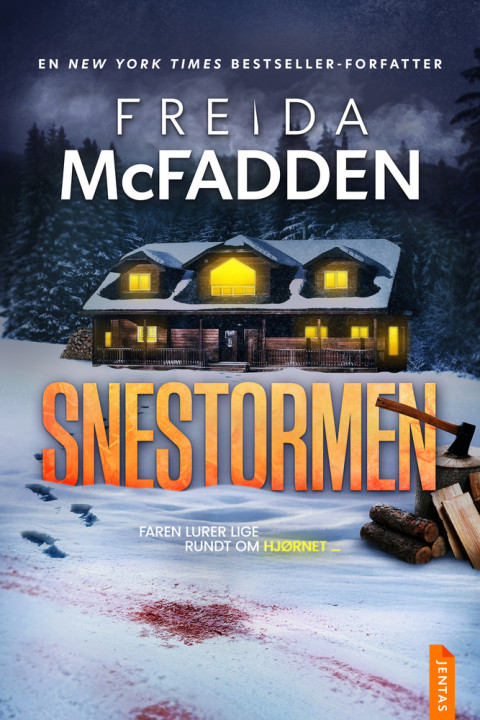 Omslag: Snestormen