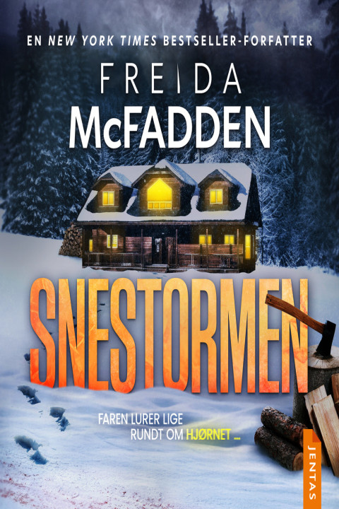 Omslag: Snestormen