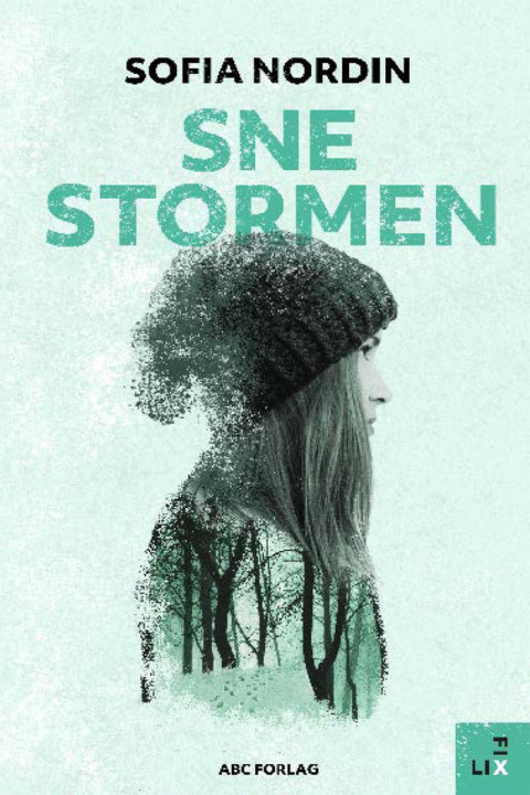 Omslag: Snestormen