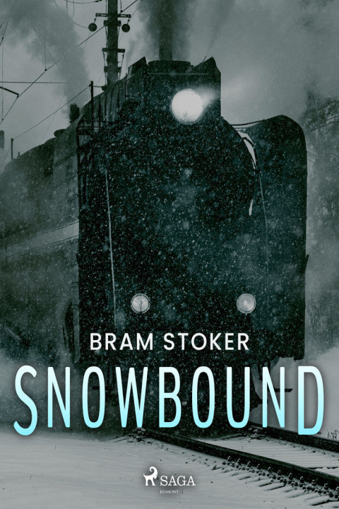 Omslag: Snowbound