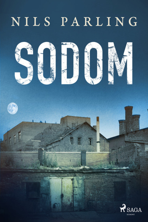 Omslag: Sodom