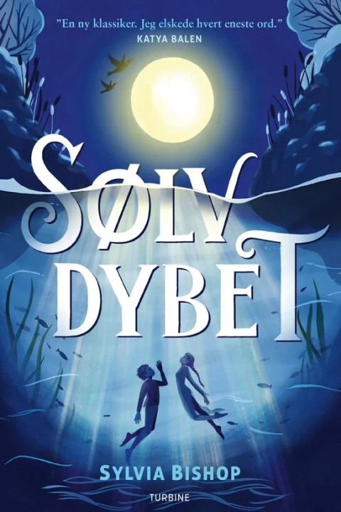 Omslag: Sølvdybet