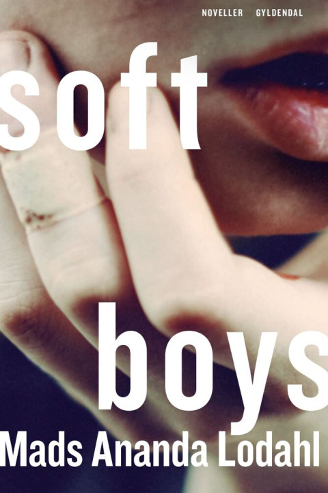 Omslag: Soft Boys
