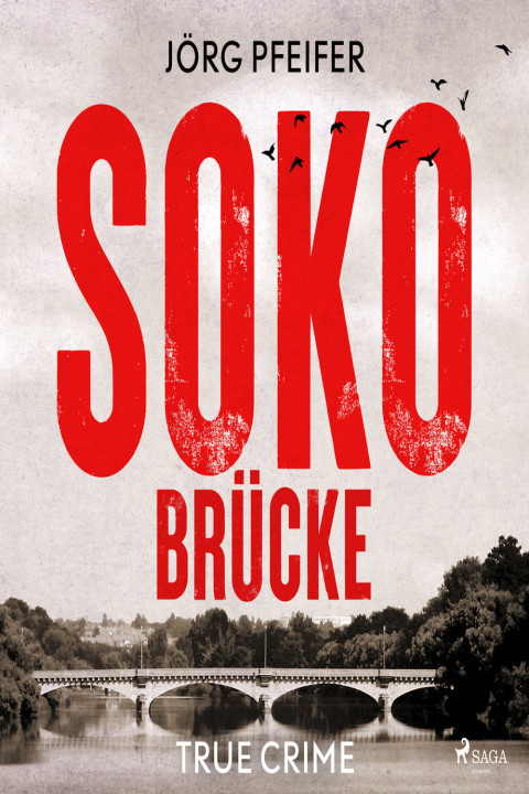 Omslag: SOKO Brücke