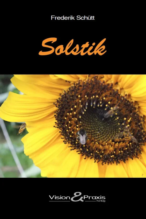 Omslag: Solstik