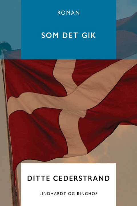 Omslag: Som det gik