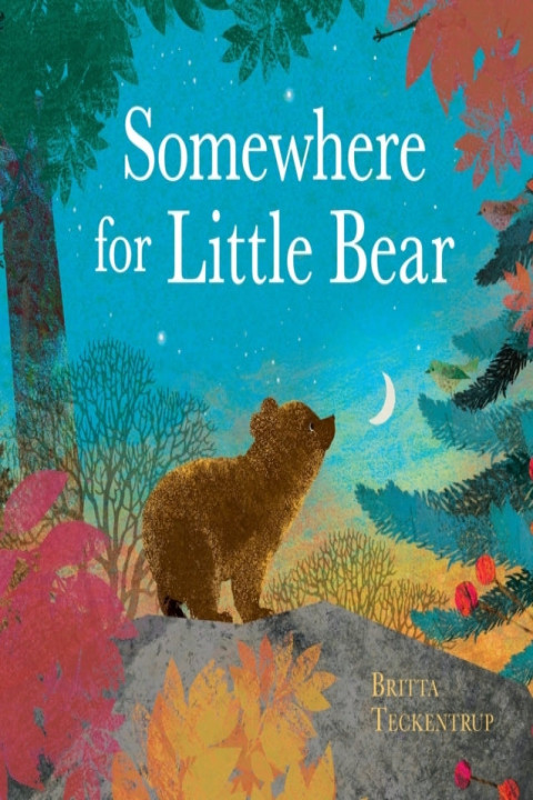 Omslag: Somewhere For Little Bear