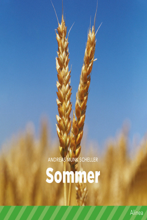 Omslag: Sommer