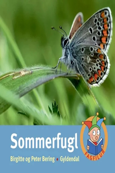 Omslag: Sommerfugl