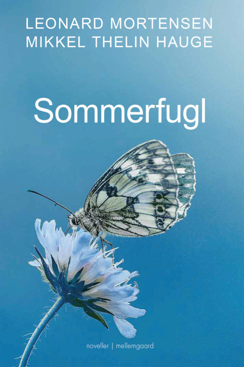 Omslag: Sommerfugl