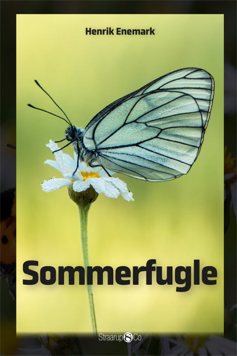 Omslag: Sommerfugle