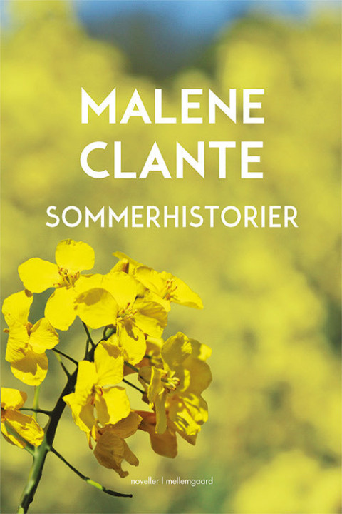 Omslag: Sommerhistorier