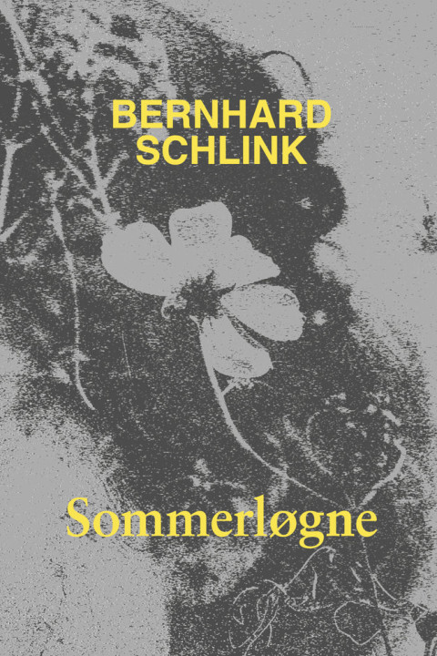 Omslag: Sommerløgne
