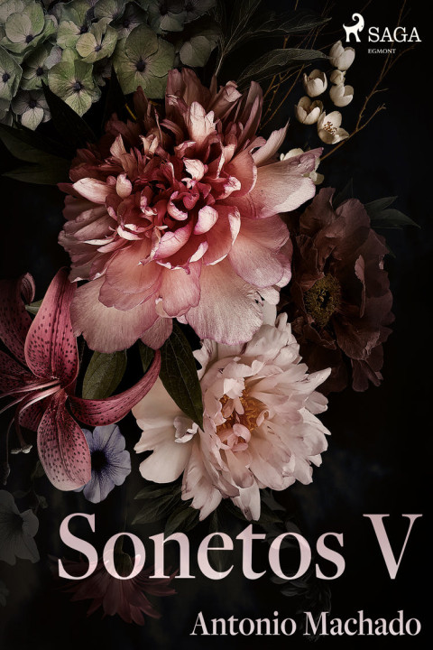Omslag: Sonetos V