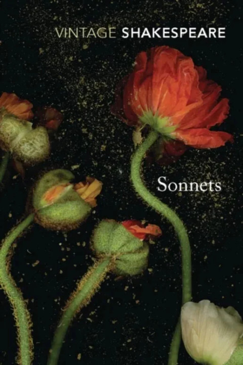 Omslag: Sonnets