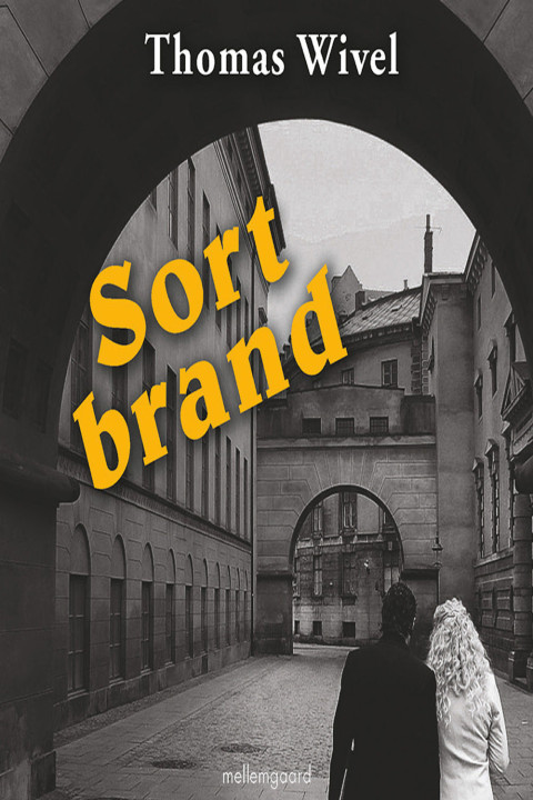 Omslag: Sort brand