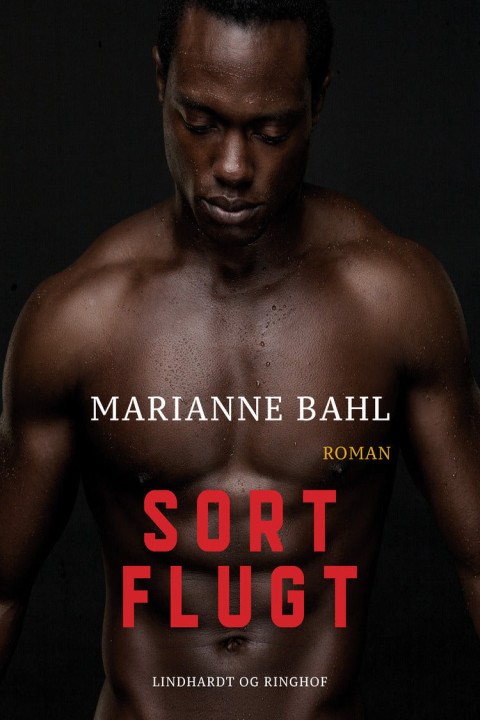 Omslag: Sort flugt
