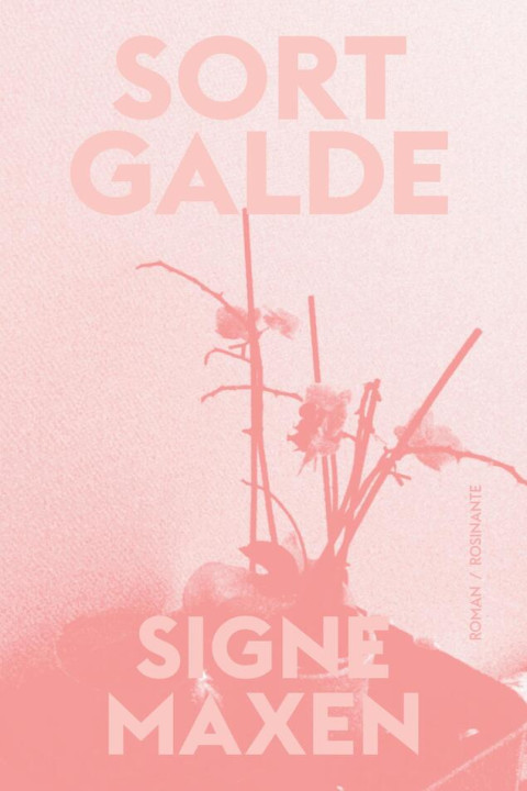Omslag: Sort galde