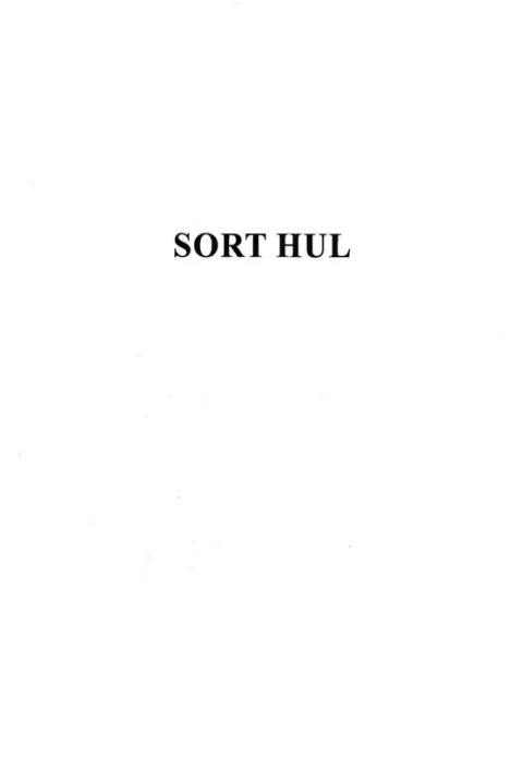 Omslag: Sort hul