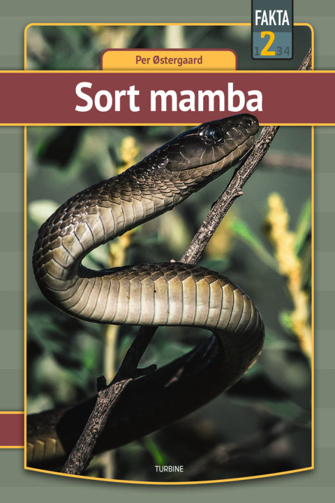 Omslag: Sort mamba