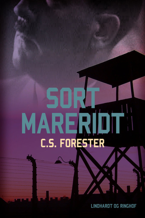 Omslag: Sort mareridt