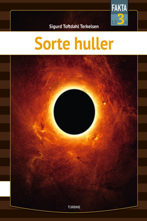 Omslag: Sorte huller