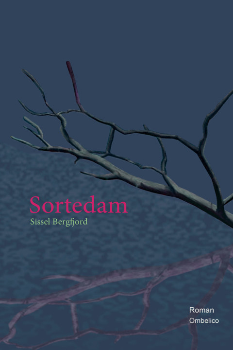 Omslag: Sortedam