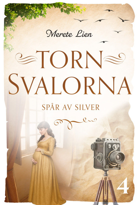 Omslag: Spår av silver