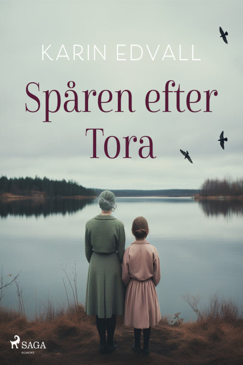 Omslag: Spåren efter Tora