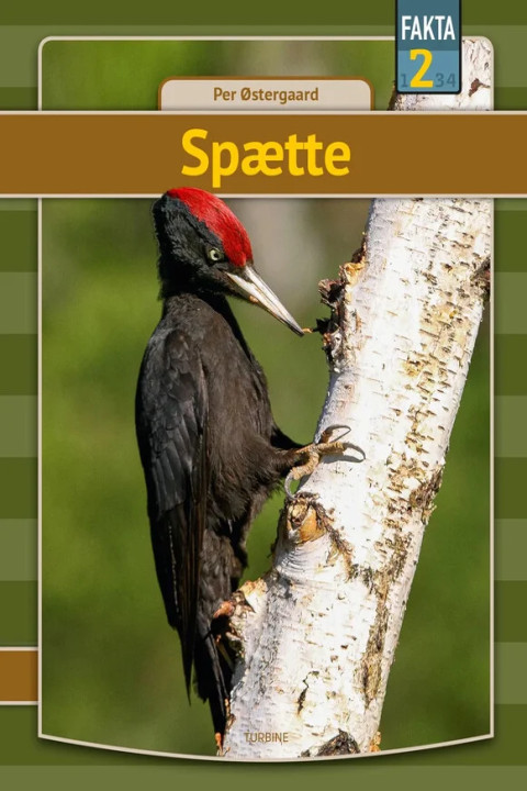 Omslag: Spætte