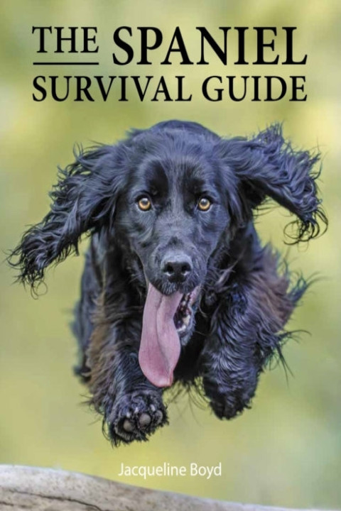 Omslag: Spaniel Survival Guide